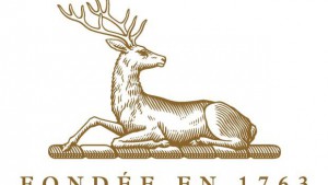 Logo-Hine-Cerf-620x350